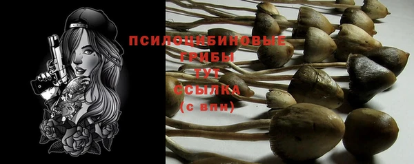 эйфоретик Беломорск