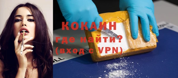 стаф Богданович