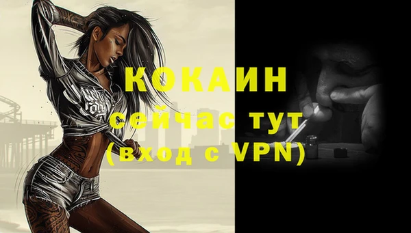 стаф Белокуриха
