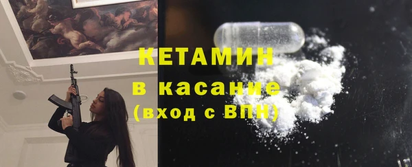 стаф Богданович