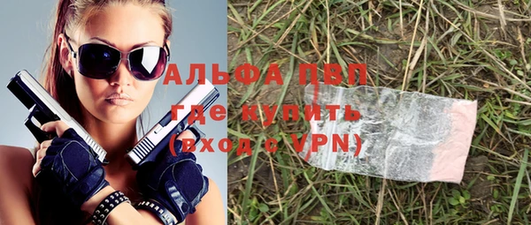 стаф Белокуриха