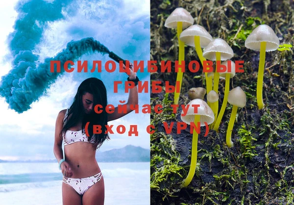 эйфоретик Беломорск