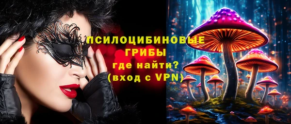 эйфоретик Беломорск
