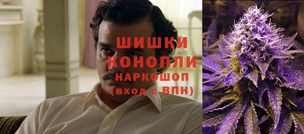 стаф Богданович