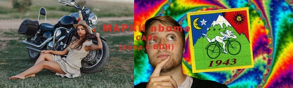 стаф Белокуриха